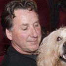 The NY Cat And Dog Film Festival Comes To Larkspur