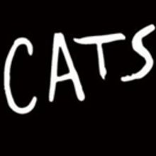 Walton Arts Center Brings CATS to Fayetteville 5/28 - 6/2!