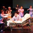 BWW Review: Lyric Opera Theatre Presents A NEW BRAIN