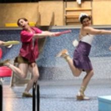 BWW Review: STUPID FUCKING BIRD at Théâtre Des Capucins