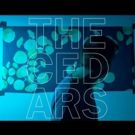 John Vanderslice Streams 'Triumphant' New Album THE CEDARS on The Fade