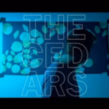 John Vanderslice Streams 'Triumphant' New Album THE CEDARS on The Fade