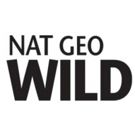 Nat Geo WILD Greenlights DEAD BY DAWN