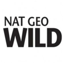 Nat Geo WILD Greenlights DEAD BY DAWN