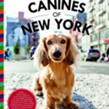 BWW Review: CANINES OF NEW YORK by Heather Weston for Dog Lovers and Many More