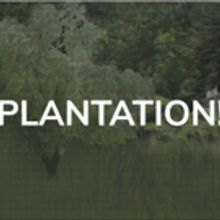 Review Roundup: PLANTATION! at Lookingglass Theatre