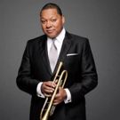 Wynton Marsalis Named Honorary Co-Chair of University Musical Society's National Council