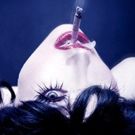 BWW Review: MEOW MEOW Brings the Party to Kennedy Center
