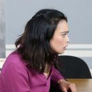 BWW Review: Mara Nelson-Greenberg's DO YOU FEEL ANGER? Takes An Absurdist Look at…