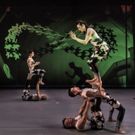 ART OF CIRCUS Swings Its Way To The State Theatre In January