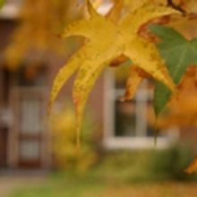 HOLIDAY GIFTS for the Host or Hostess