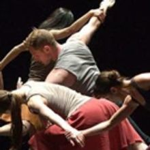 ZviDance ON THE ROAD Comes to Joe's Pub This April