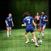 BWW Review: THE WOLVES: Empowered By The Pack Photo