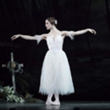 BWW Review: GISELLE, Royal Opera House