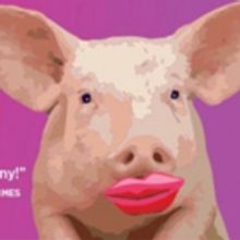 Brilliant Classic Comedy TARTUFFE at Huntington Theatre Company this November