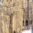 Frist Art Museum And Cheekwood Garden's Present Concurrent Exhibitions Of Work By…