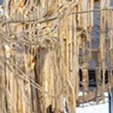 Frist Art Museum And Cheekwood Garden's Present Concurrent Exhibitions Of Work By Dia