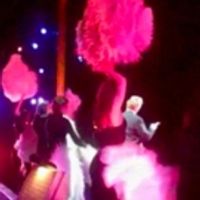TV Exclusive: Chicago's Roz Ryan 'FLIPS' For BroadwayWorld Video