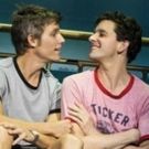 Carrying the Torch: How TORCH SONG Set Broadway on Fire and Ushered In A New Era of…