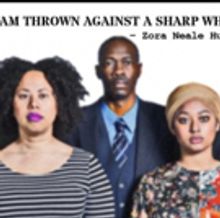 BWW Review: Actors Bridge Ensemble's Provocative and Gut-wrenching CITIZEN: AN AMERIC