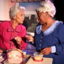 BWW Review: HAVING OUR SAY at Primal Forces