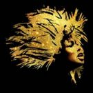 New Block of Tickets for TINA Go Onsale Today