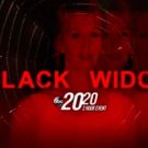 ABC News Announces Two-Hour Documentary on the Black Widow Killer