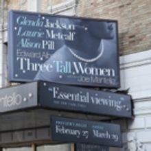 UP ON THE MARQUEE: Edward Albee's THREE TALL WOMEN
