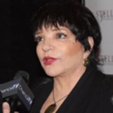 Liza Minnelli Shuts Down Reports About Involvement in Upcoming Judy Garland Movie
