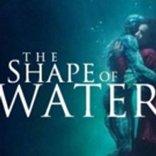 Playwright Paul Zindel's Estate Claims 'The Shape of Water' Was Derived From His…