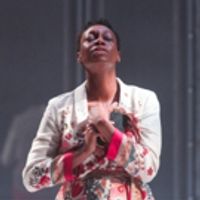 BWW Review: Soulpepper's ORLANDO is an Impressive, Existential Look into Identity Photo