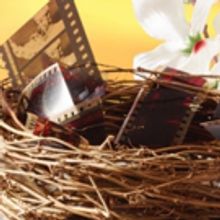 Ensemble Theatre Cincinnati Presents HIS EYE IS ON THE SPARROW