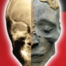 THE ART OF THE BRICK to Feature LEGO Works of Art at Union Station