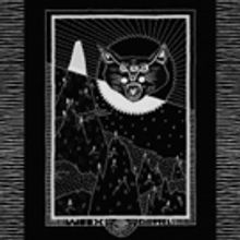New Zealand's Wax Chattels Announce U.S. Tour Dates