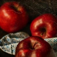 Eden Court Theatre Brings The Mysterious True Story Of Missing Man Martin Guerre To…