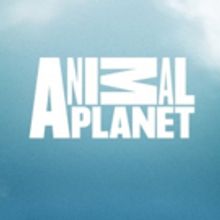 NORTH WOODS LAW Returns to Animal Planet for an All-New Season from New Hampshire on 