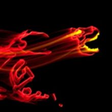 Photo Flash: Lightwire Theater Brings Glow-in-the-Dark Adventure to Raue Center