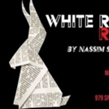 BWW Review: WHITE RABBIT, RED RABBIT is an Exercise in Manipulation