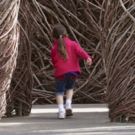Mounts Botanical Garden Announces its Next Major Exhibition: TWISTED: Patrick…