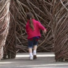 Mounts Botanical Garden Announces its Next Major Exhibition: TWISTED: Patrick Dougher