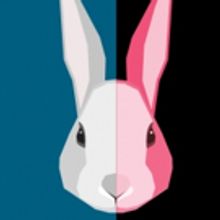 BWW Previews: WHITE RABBIT RED RABBIT at Baltimore Center Stage Promises Surprises fo