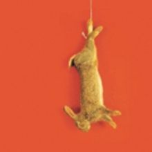 THE NOISES Comes to The Old Red Lion