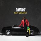 Shaggy Shares New Music Video, New Album Out 5/10