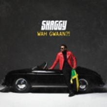 Shaggy Shares New Music Video, New Album Out 5/10