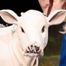 BWW Review: INTO THE WOODS at Theatre In The Park