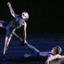 NJPAC Presents JERSEY NEW MOVES!