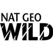 National Geographic WILD and Sun Valley Film Festival Launch Sixth Annual WILD