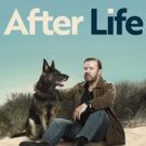 Netflix Renews AFTER LIFE for Season Two
