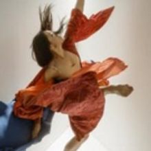 Liss Fain Dance Announces New Performance Installation At Z Space