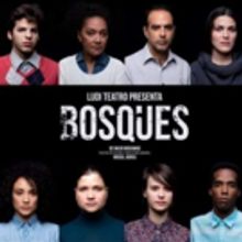BWW Review: Dentro del bosque con Ludi Teatro